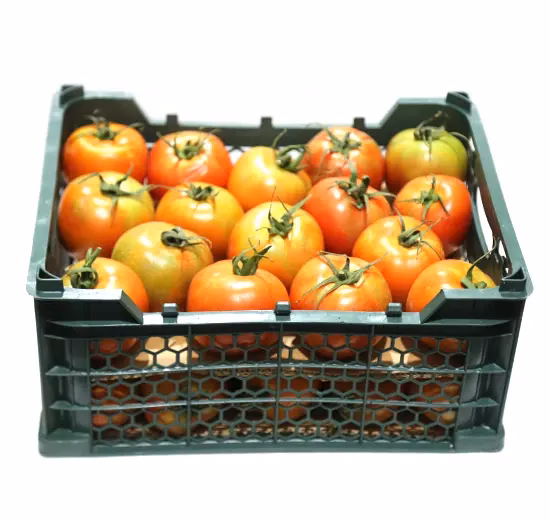 Tomato Green House 5.5kg Iran